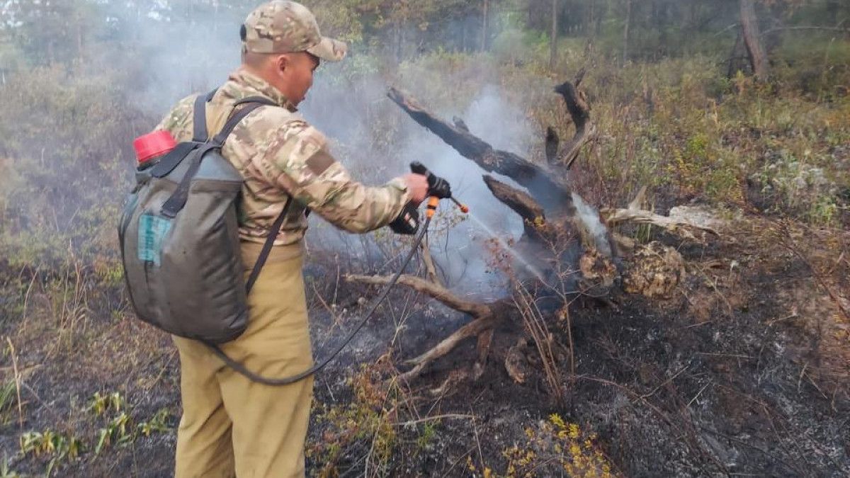 200 гектаров сухой травы горит в Жамбылской области